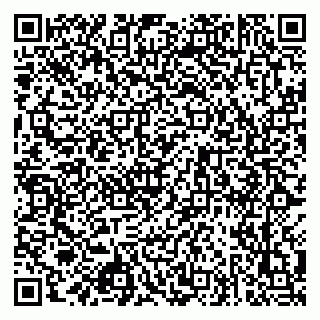 vCard 79925013339