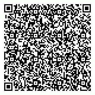 vCard 79925013839