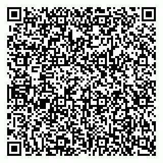 vCard 79925013939