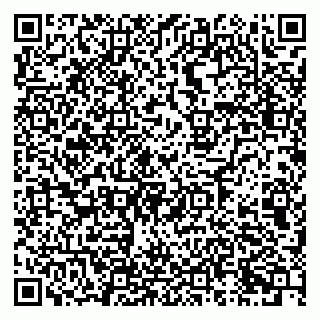 vCard 79925073339