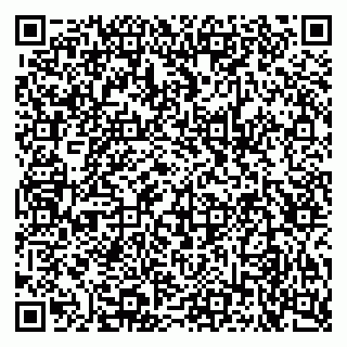 vCard 79925079539