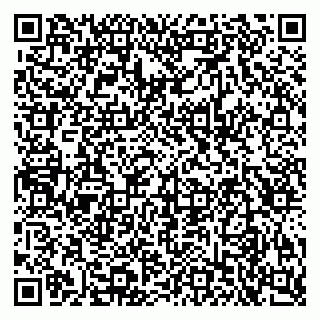 vCard 79925081039