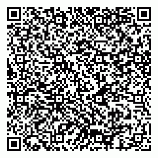 vCard 79925092100