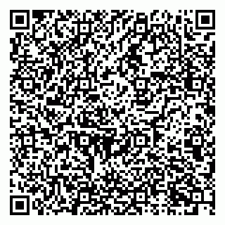 vCard 79925093539