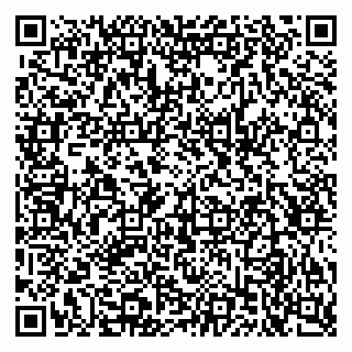 vCard 79925099539