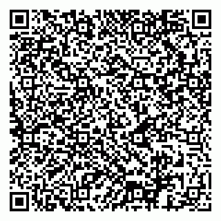 vCard 79925103339