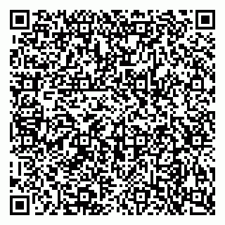 vCard 79925103839