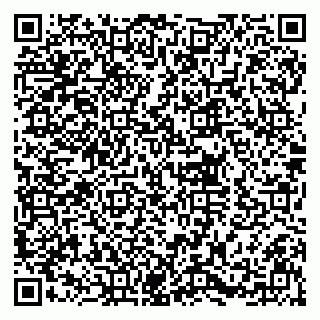 vCard 79930331003