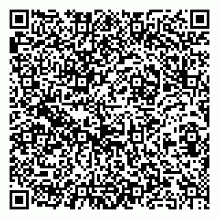vCard 79930331004