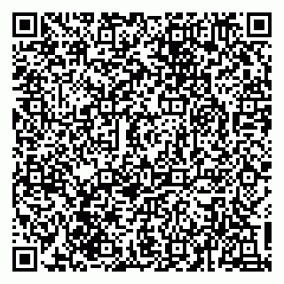 vCard 79930331024