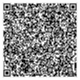 vCard 79930331065