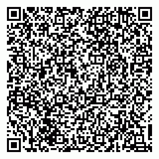vCard 79930331111