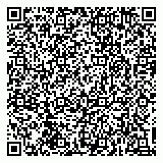 vCard 79930333211
