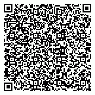 vCard 79930333539