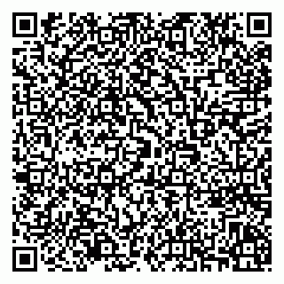 vCard 79939939313