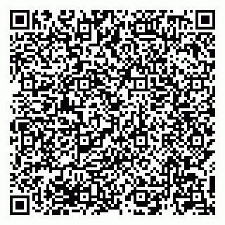 vCard 79940000413