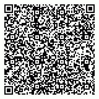 vCard 79941000173