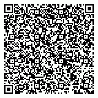 vCard 79941000251