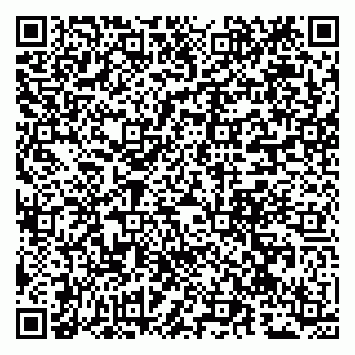 vCard 79941000275