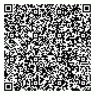 vCard 79941000297