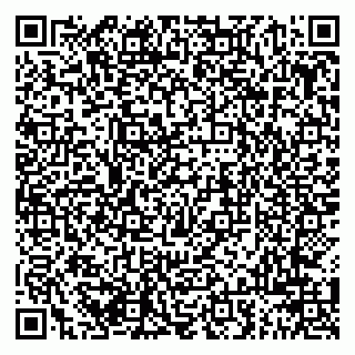 vCard 79941000365