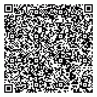 vCard 79941000380