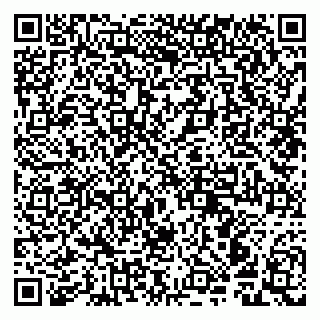 vCard 79941000410