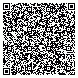 vCard 79941000420