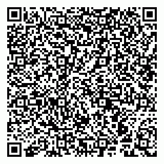 vCard 79941000493