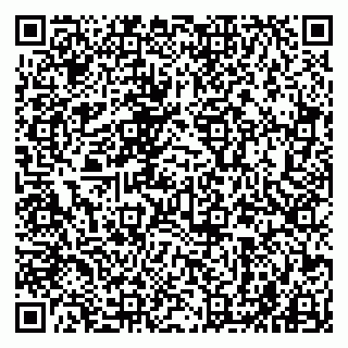 vCard 79941000521