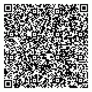 vCard 79941000551