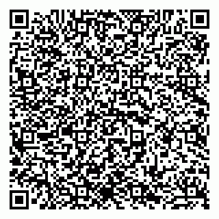 vCard 79941000611