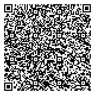 vCard 79941000630
