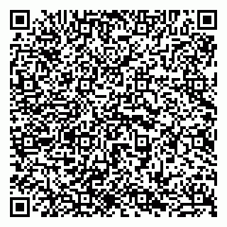 vCard 79941000739