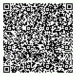 vCard 79941000740