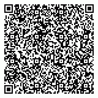 vCard 79941000765