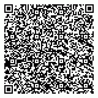 vCard 79941000766
