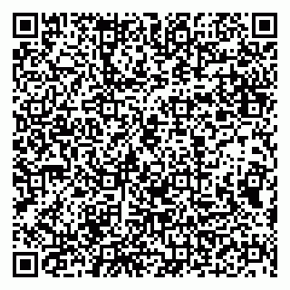 vCard 79941000851
