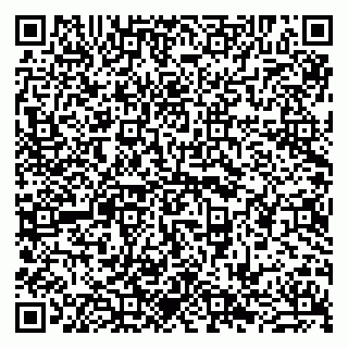 vCard 79941000873