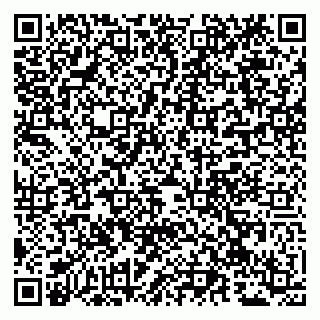vCard 79941000880