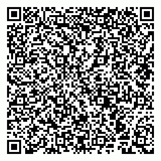 vCard 79941000994