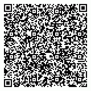 vCard 79941001539