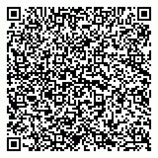 vCard 79941002811