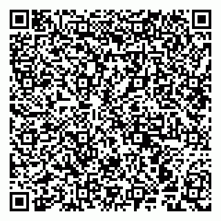 vCard 79941003003