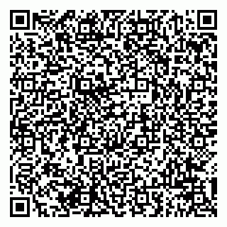 vCard 79941003203