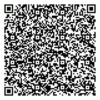 vCard 79941003293