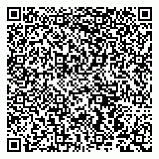 vCard 79942000334