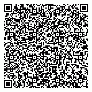 vCard 79942400799