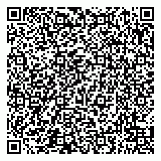 vCard 79950870300