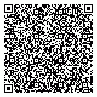 vCard 79951020001